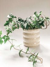 Load image into Gallery viewer, Wheel thrown planter with 4 defined bumps in a cream and brown speckled clay holding an English Ivy plant