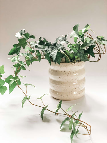 Wheel thrown planter with 4 defined bumps in a cream and brown speckled clay holding an English Ivy plant
