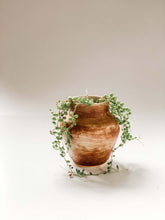 Load image into Gallery viewer, Wheel thrown vase in matte brown shino glaze with succulent flowing out of it 
