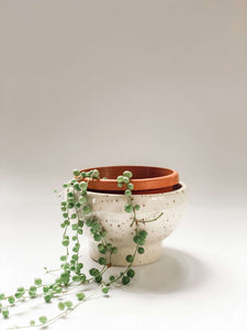 Flower bowl